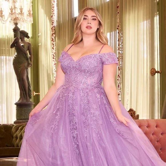 NEW LONG FORMAL OFF SHOULDER A-LINE TULLE DRESS EMBROIDERED WITH LACE CD C154C - Picture 8 of 10